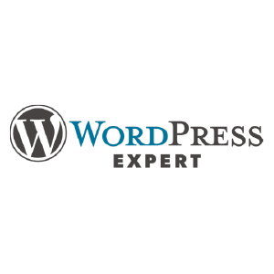Customer Intelligence Inc - WordPress Certification